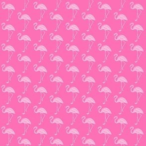 Flamingo a go go -  pink on pink