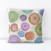 (L) Sand Dollars and Sea Urchin Watercolors // Purple, Pink, Green, Blue, Orange // Large