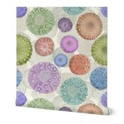 (L) Sand Dollars and Sea Urchin Watercolors // Purple, Pink, Green, Blue, Orange // Large