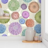 (L) Sand Dollars and Sea Urchin Watercolors // Purple, Pink, Green, Blue, Orange // Large