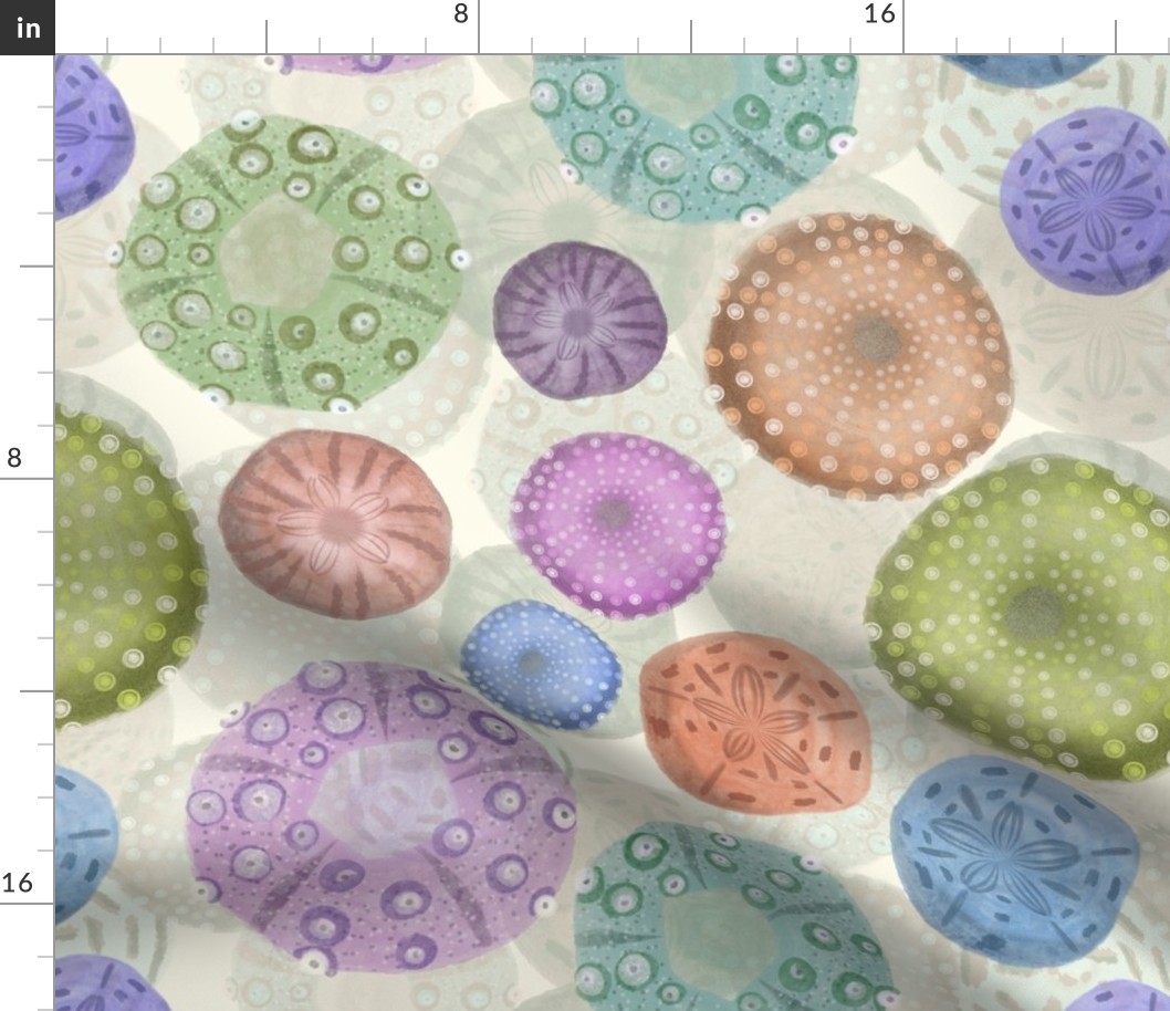 (L) Sand Dollars and Sea Urchin Watercolors // Purple, Pink, Green, Blue, Orange // Large