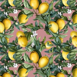 Lemon Pattern 9 pink