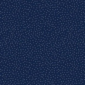 Scattered painted dots on Navy small scale 4 x 4