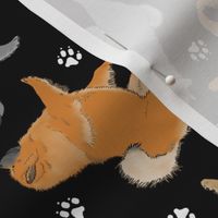 Trotting assorted Chow Chows and paw prints - black