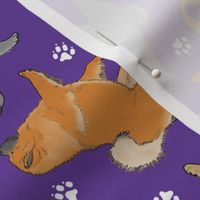 Trotting assorted Chow Chows and paw prints - purple