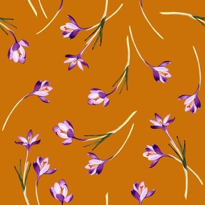 Crocus flowers - orange