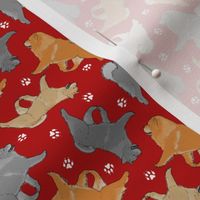 Tiny Trotting assorted Chow Chows and paw prints - red