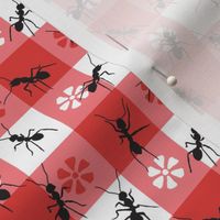 Ants on a Red and White Picnic Tablecloth-  1 inch