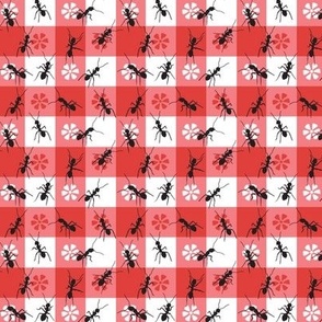 Ants on a Red and White Picnic Tablecloth-  3/4 inch