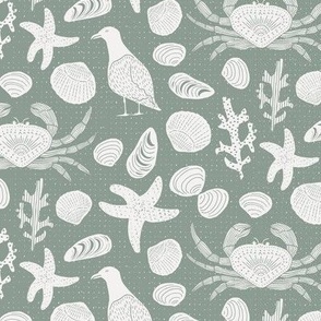 Ocean life crabs, shells and birds on the beach  // sage grey green  line drawing // small