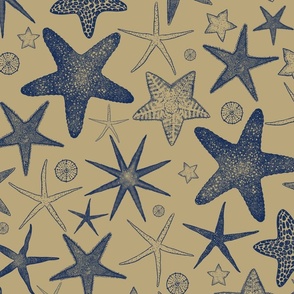 Navy Starfish on Sand Background