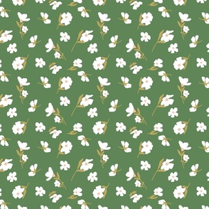 Modern floral daisy's in green and vanilla cream mini