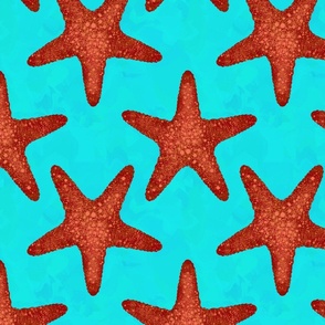 Realistic Starfish on Turquoise Background Big Scale