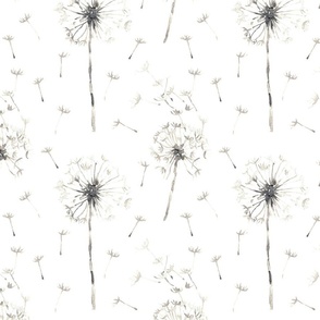 Dandelion white  minimalist