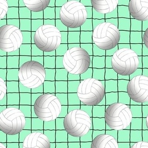 volleyballs on green