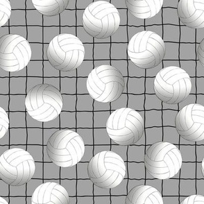 volleyballs on grey