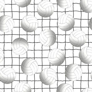 volleyballs on white