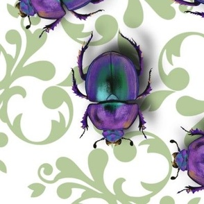 Purple and green beetles 