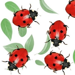 Ladybugs and green 