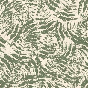 modern abstract Ferns in forest green 