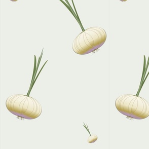 Big Corner Garlic