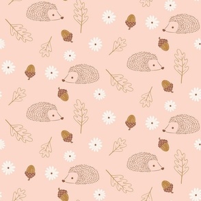 Hedgehogs and Flowers - Pale Pink_12x12