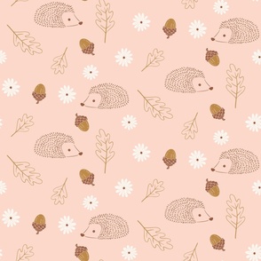 Hedgehogs and Flowers - Pale Pink_24x24