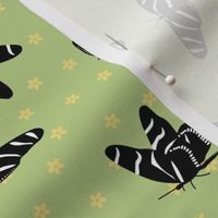 Zebra Butterflies on green1 1500p