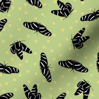 Zebra Butterflies on green1 1500p
