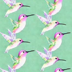Happy Hummingbirds in spring
