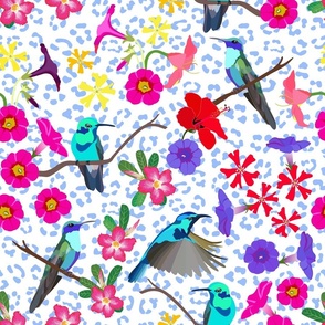 humming birds and flowers in tropical garden with blue leopard print background.