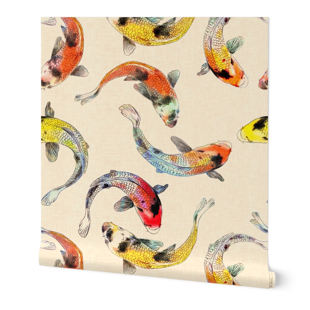 Koi carp fish with shimmering scales in yellow, orange and red on a cream background