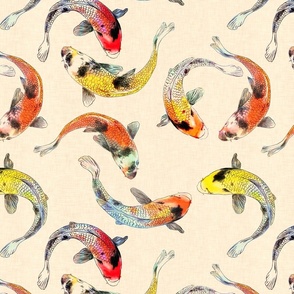 Koi carp fish with shimmering scales in yellow, orange and red on a cream background