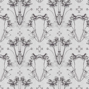 Monochrome damask Japanese anemone line drawings on a light grey background with vintage linen texture