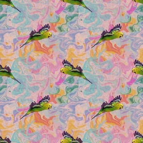 Green and yellow budgie parakeets birds in flight on a swirled bright rainbow marble background