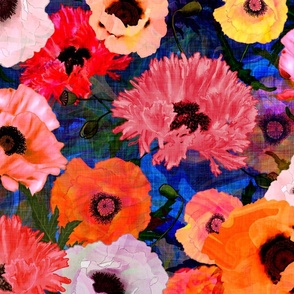 Large scale red, white and yellow oriental poppies on a dark blue vintage linen textured background