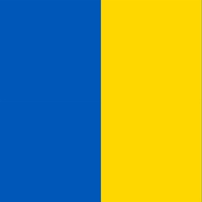 Ukrainian flag official colors medium scale