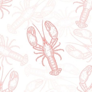 Coral Lobsters on White Shadowed