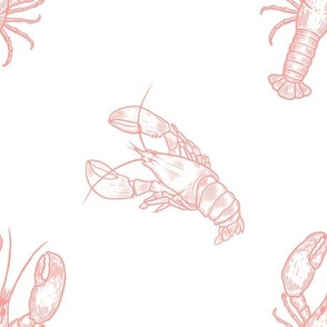 Coral Lobsters on White 3
