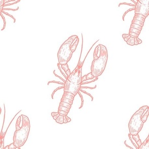 Coral Lobsters on White