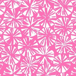 modern sea urchins -  hibiscus pink and white