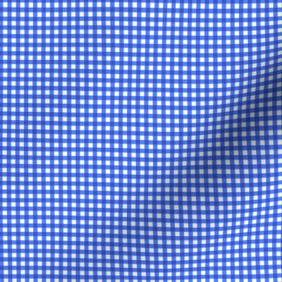 gingham check-cornflower blue