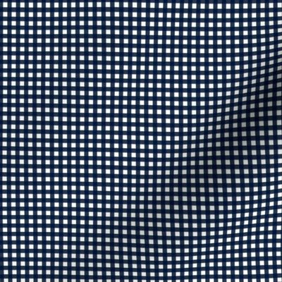 gingham check-navy blue