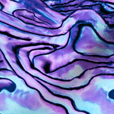 Abalone | Lavender