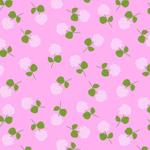  Pink Cut Hydrangeas