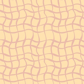 Pattern Clash Checkerboard Wavy ribbons Lattice peach and Pink
