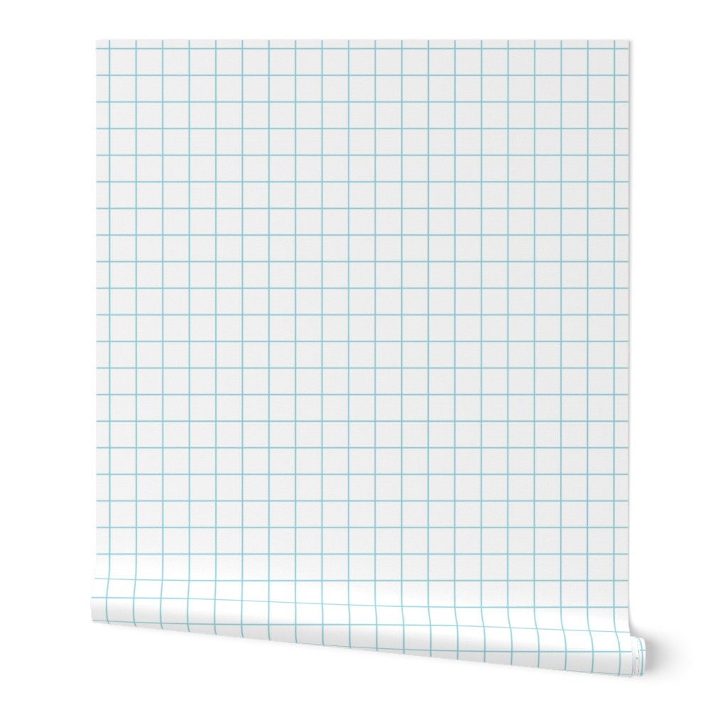 School Graph Paper Grid Paper Medium