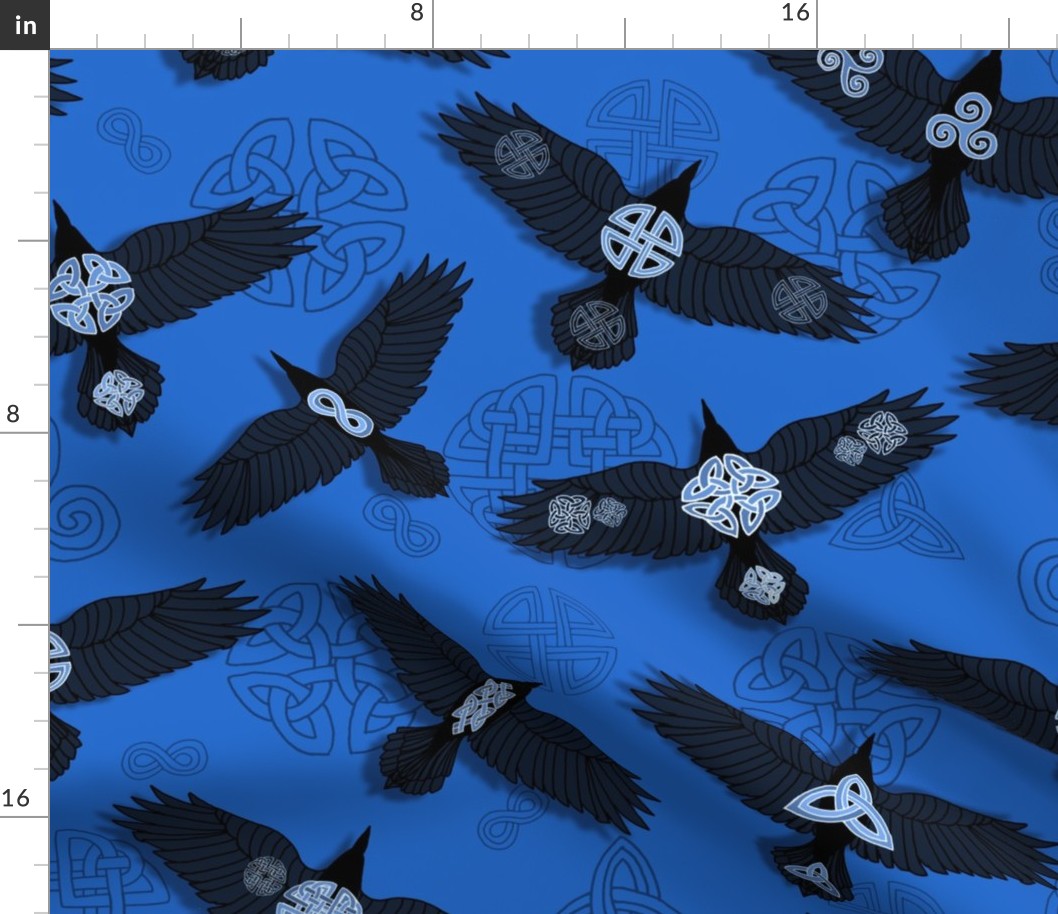 Ravens SOAR Above (Blue Waters large scale)