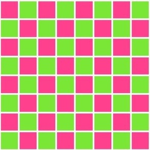 Watermelon Pink, Lime Green, and White Checks