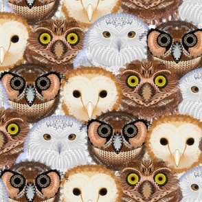 Owls in fancy lace